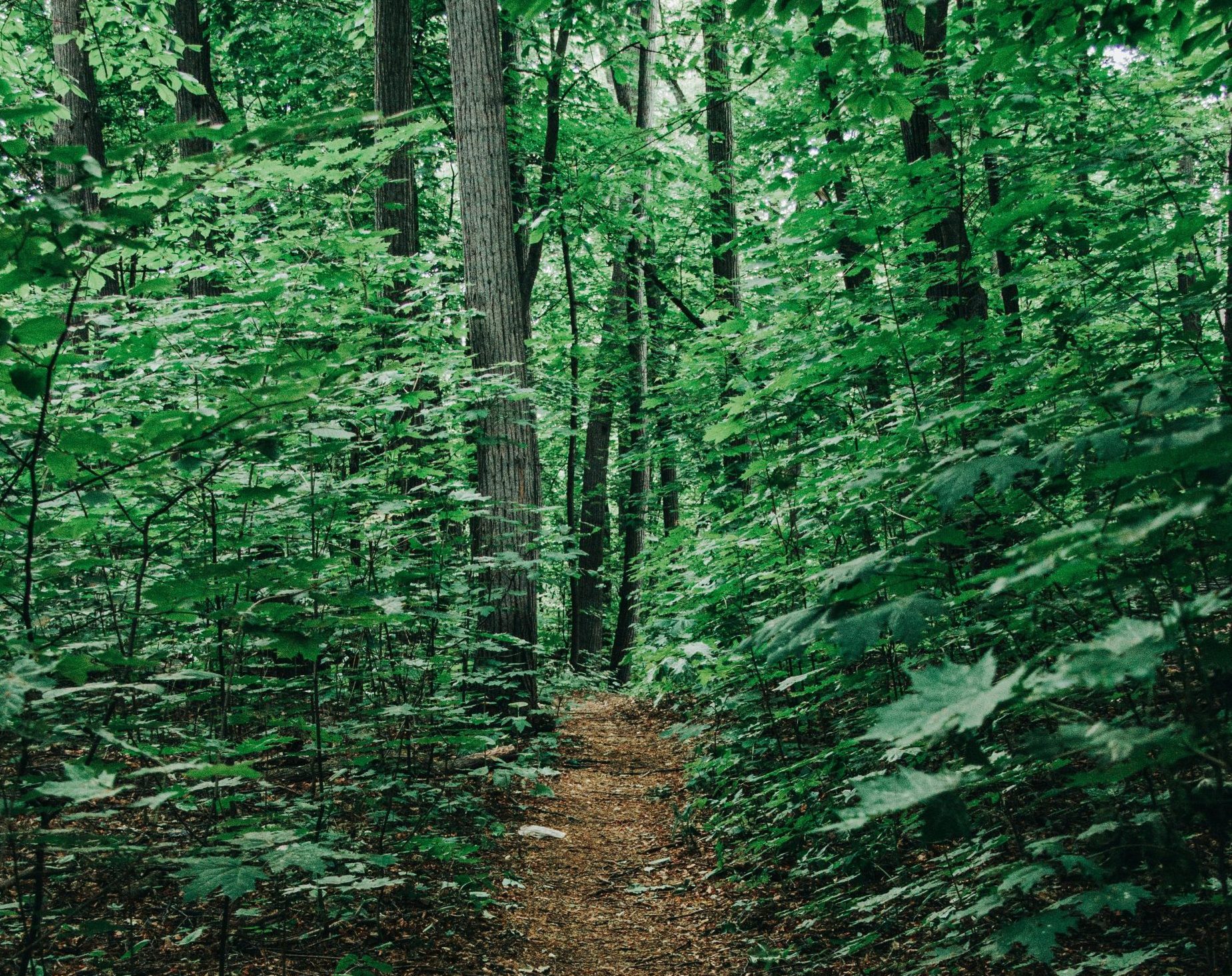 Inklinks In Person Writing Groups