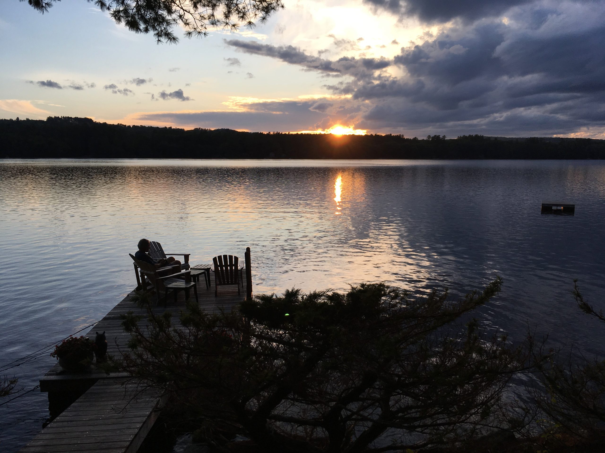 Inklinks Online Writing Workshops